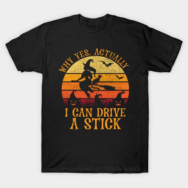 Why Yes Actually I Can Drive A Stick Vintage T-Shirt by DragonTees